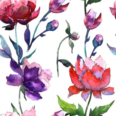 Kır çiçeği peony çiçek deseni suluboya tarzında.