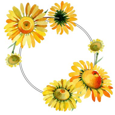 Kır çiçeği sarı papatya çiçek çelenk suluboya tarzında.