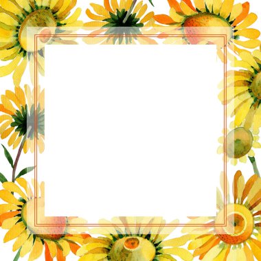 Kır çiçeği sarı papatya çiçek çerçeve suluboya tarzında.