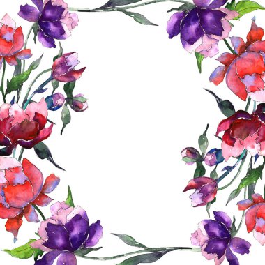 Kır çiçeği Şakayık çiçeği çerçeve suluboya tarzında.