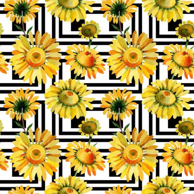 Kır çiçeği sarı papatya çiçek deseni suluboya tarzında.