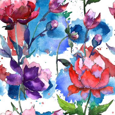 Kır çiçeği peony çiçek deseni suluboya tarzında.