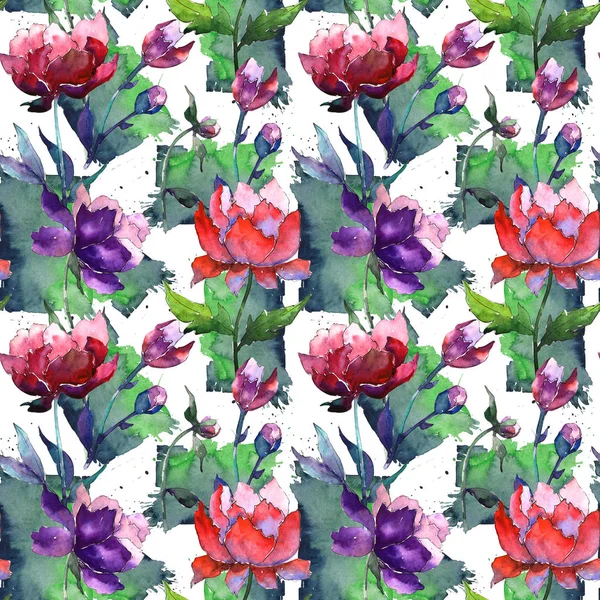 Wildflower peony flower pattern in a watercolor style. — Stock Photo, Image