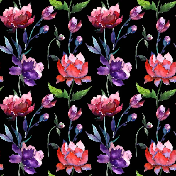 Modello di fiore di peonia di fiori selvatici in stile acquerello . — Foto Stock