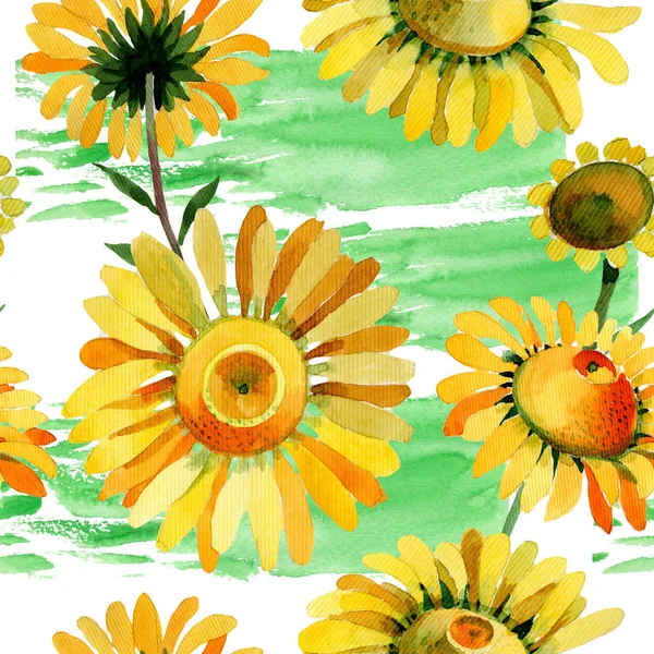 Flor silvestre patrón de flores de manzanilla amarillo en un estilo de acuarela . —  Fotos de Stock