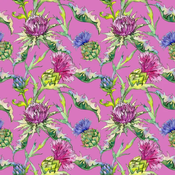 Wildflower thistle flower pattern in a watercolor style.