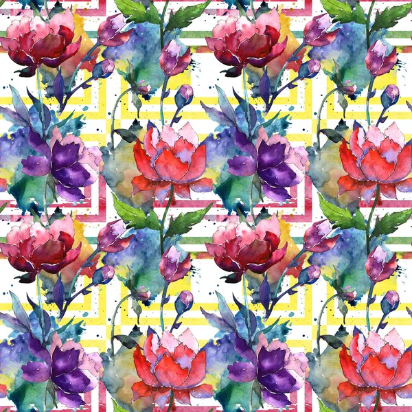 Wildflower pion blommönster i akvarell stil. — Stockfoto