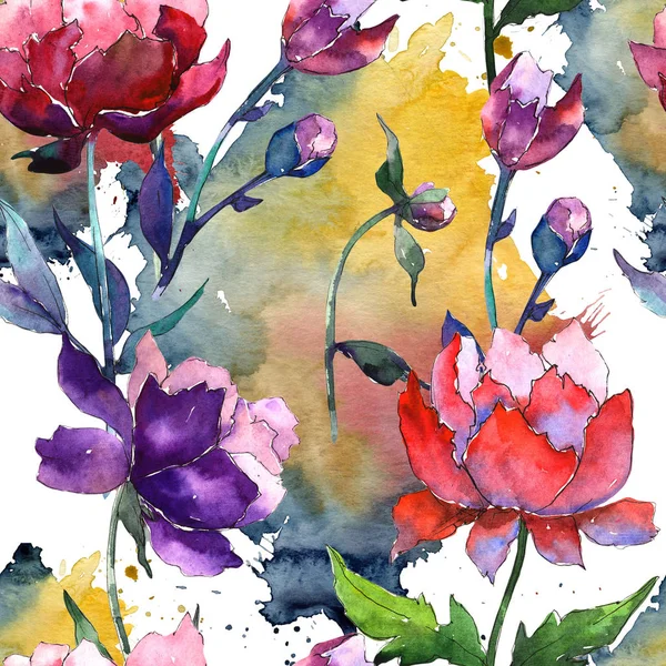 Wildflower Pivoňka květ vzor ve stylu akvarelu. — Stock fotografie