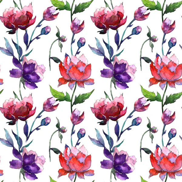 Wildblumen-Pfingstrosen-Blumenmuster im Aquarell-Stil. — Stockfoto