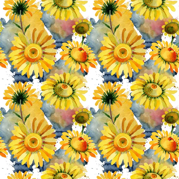 Wildflower yellow chamomile flower pattern in a watercolor style. — Stock Photo, Image