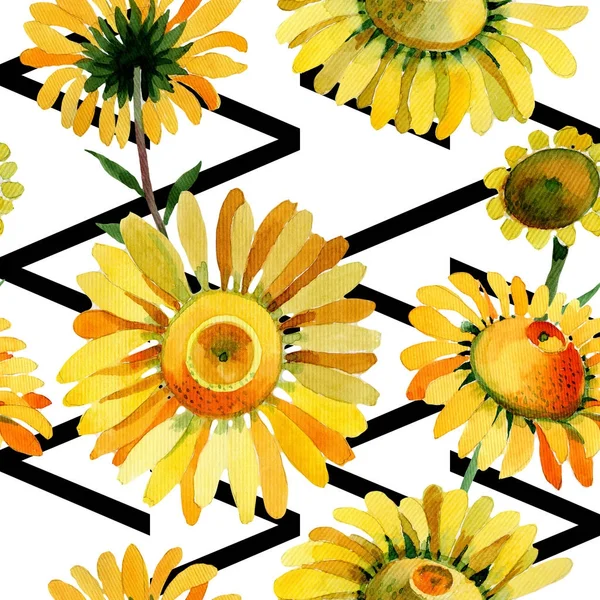 水彩画のワイルドフラワー黄色のカモミールの花のパターン. — ストック写真
