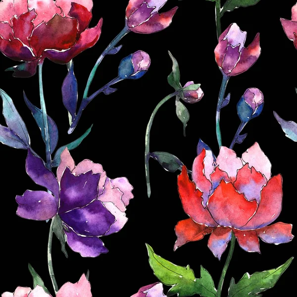 Modello di fiore di peonia di fiori selvatici in stile acquerello . — Foto Stock