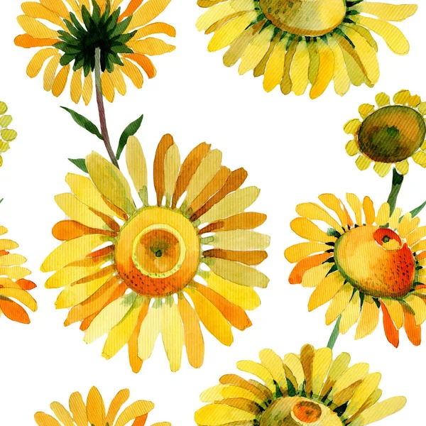 Vadvirág sárga Kamilla virág minta akvarell stílusú. — Stock Fotó