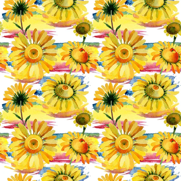 Kır çiçeği sarı papatya çiçek deseni suluboya tarzında. — Stok fotoğraf