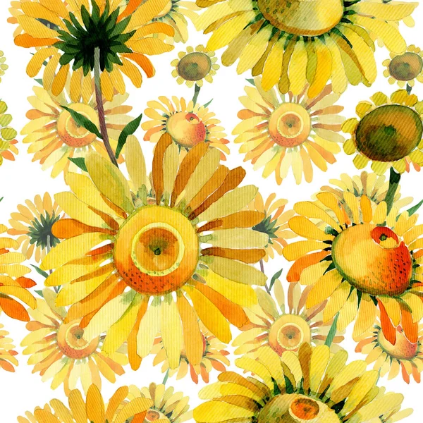 Wildflower rumianek żółte kwiatki w stylu przypominającym akwarele. — Zdjęcie stockowe