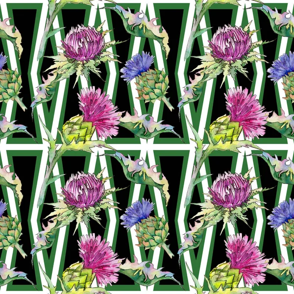 Patrón de flor de cardo silvestre en un estilo de acuarela . —  Fotos de Stock
