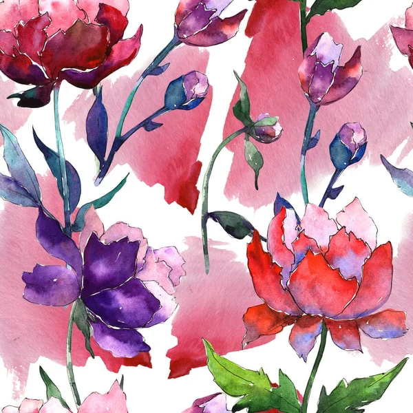 Wildflower peony flower pattern in a watercolor style. — Stock Photo, Image