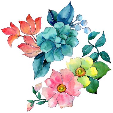 Bir suluboya tarzında izole tropikal çiçek.