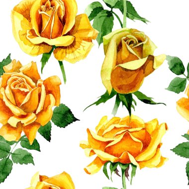 Kır çiçeği gül çiçek deseni suluboya tarzında.