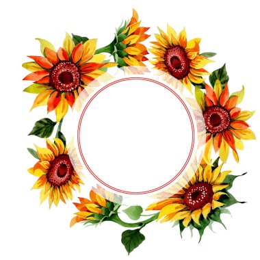 Kır çiçeği ayçiçeği çiçek çerçeve suluboya tarzında.