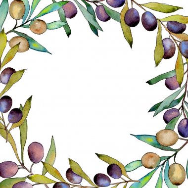 Zeytin ağacı çerçeve suluboya tarzında.
