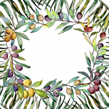 Zeytin ağacı çerçeve suluboya tarzında.