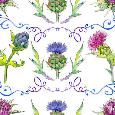 Kır çiçeği thistle çiçek deseni suluboya tarzında.