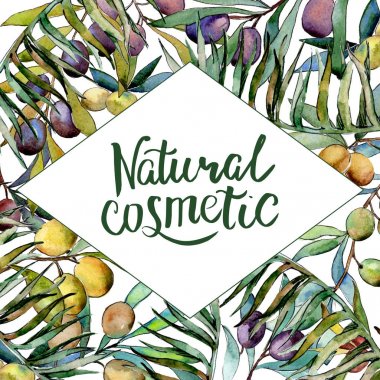 Zeytin ağacı çerçeve suluboya tarzında.