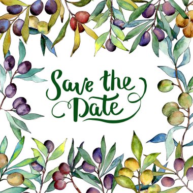 Zeytin ağacı çerçeve suluboya tarzında.