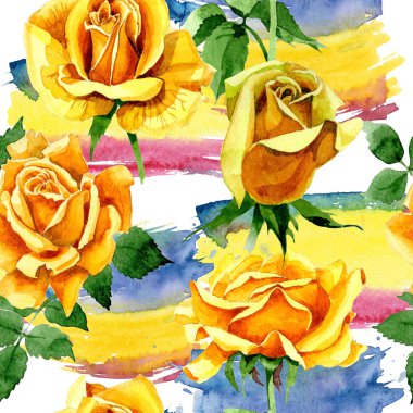 Kır çiçeği gül çiçek deseni suluboya tarzında.