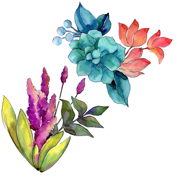 Tropical flower in a watercolor style isolated.