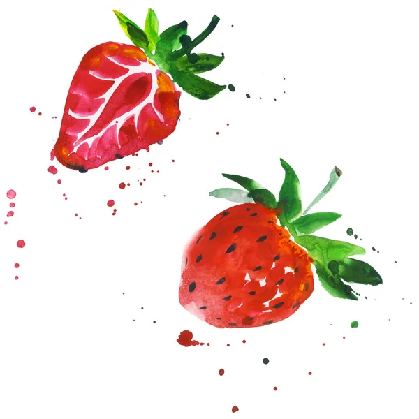 Exotic strawberry wild fruit in a watercolor style isolated.