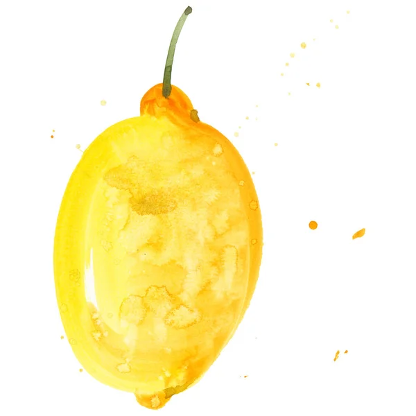 Exotische citroen wilde vruchten in een aquarel stijl geïsoleerd. — Stockfoto