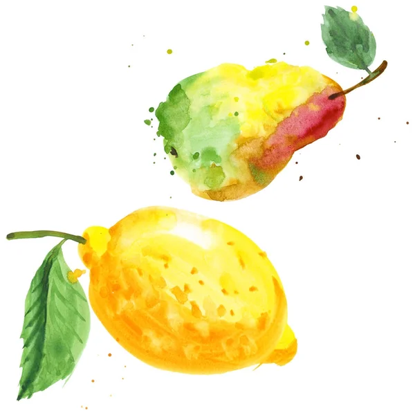 エキゾチックな分離された水彩画の洋梨とレモンの野生の果実. — ストック写真