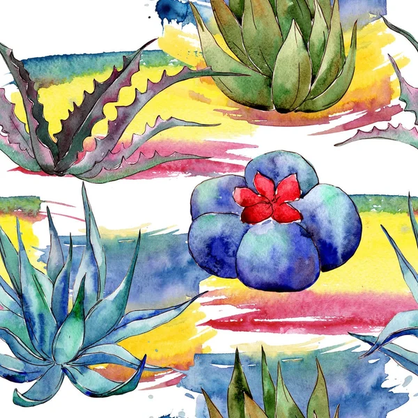 Modèle de cactus de fleurs sauvages dans un style aquarelle . — Photo