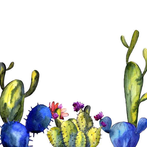 Wildflower cactus frame in a watercolor style.