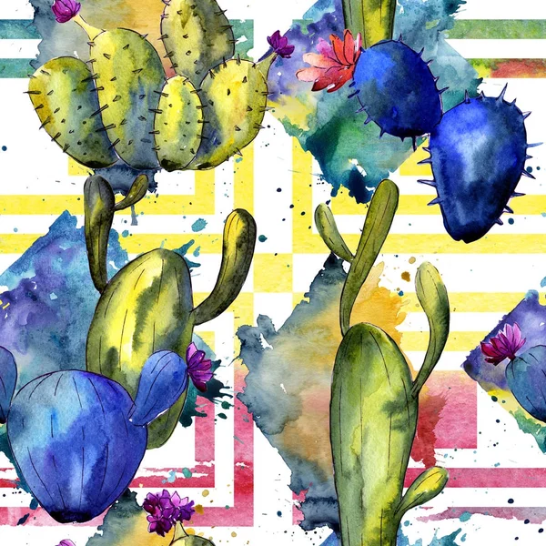 Modèle de cactus de fleurs sauvages dans un style aquarelle . — Photo