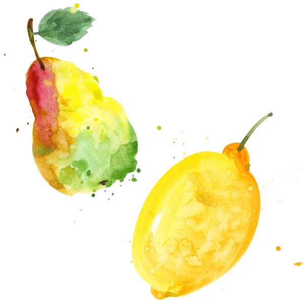 エキゾチックな分離された水彩画の洋梨とレモンの野生の果実. — ストック写真