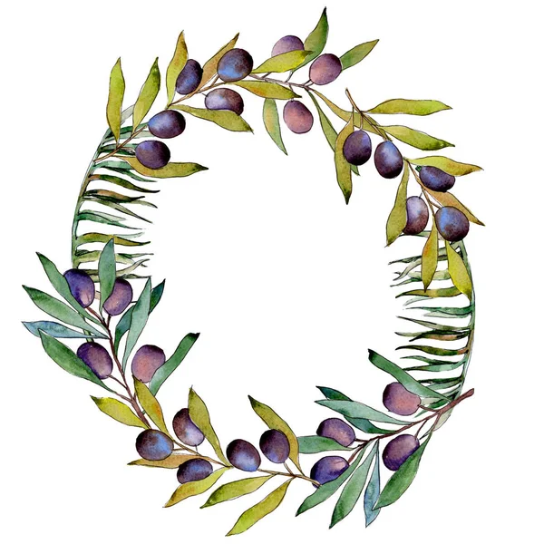 Olive tree wreath in a watercolor style.