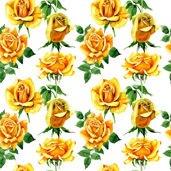 Flori sălbatice model de flori de trandafir într-un stil acuarelă . — Fotografie, imagine de stoc