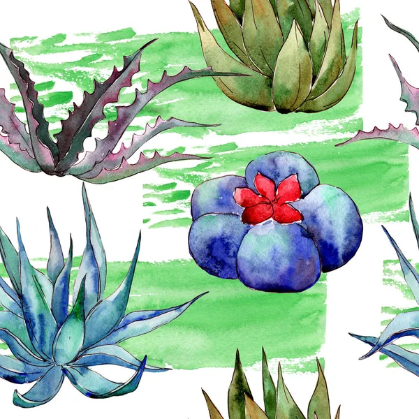 Wildflower cactus patroon in een aquarel stijl. — Stockfoto