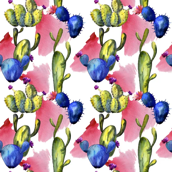 Wildflower cactus pattern in a watercolor style. — Stock Photo, Image