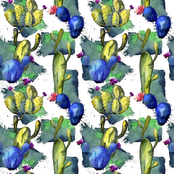 Modèle de cactus de fleurs sauvages dans un style aquarelle . — Photo
