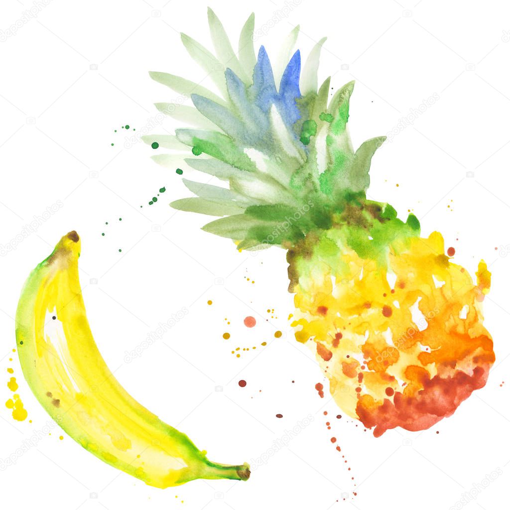 Exotic banana and pineapple wild fruit in a watercolor style isolated.