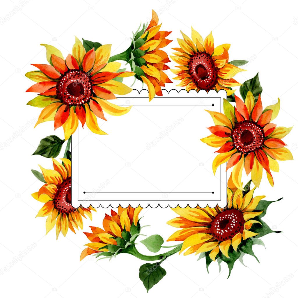 Wildflower sunflower flower frame in a watercolor style.