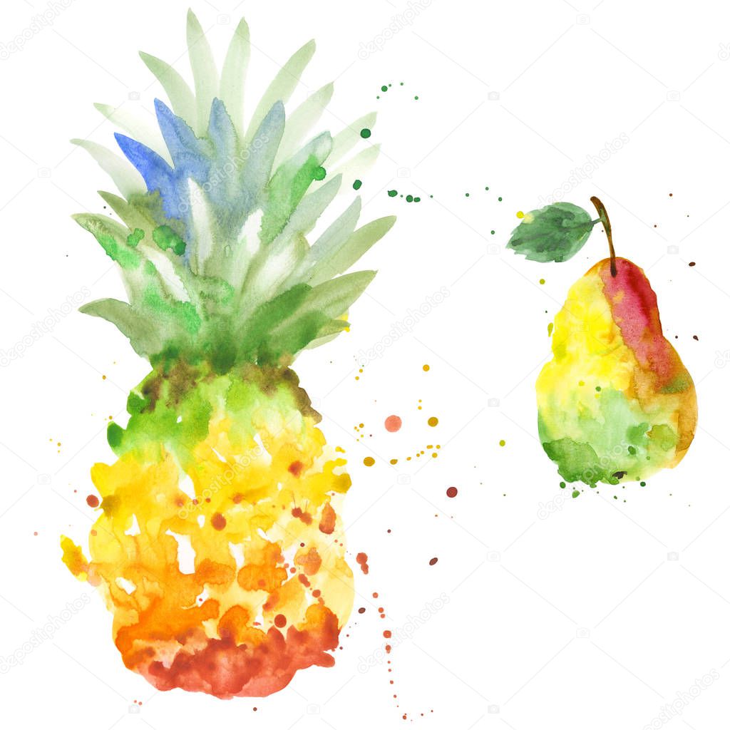 Exotic pear and pineapple wild fruit in a watercolor style isolated.
