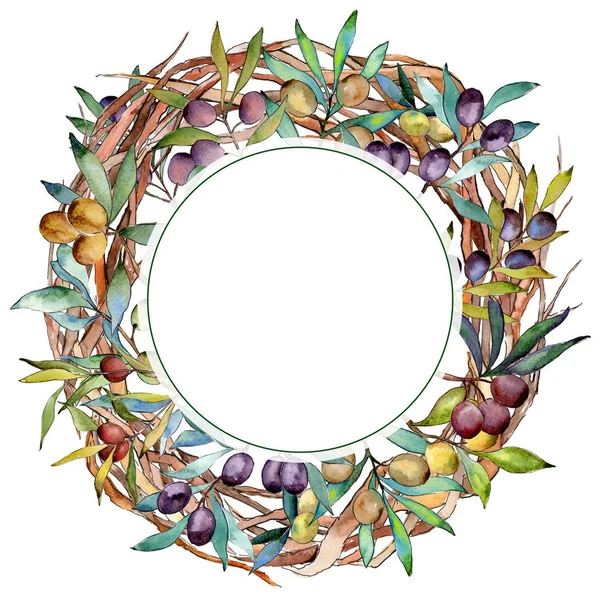 Olive tree wreath in a watercolor style.