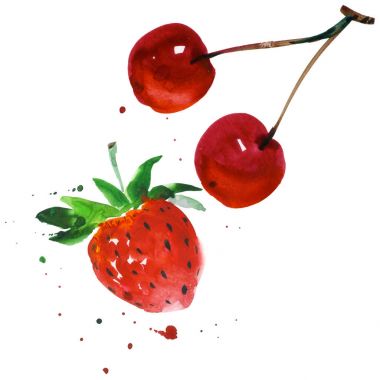 Egzotik çilek ve vişne yabani meyve izole bir suluboya tarzında.