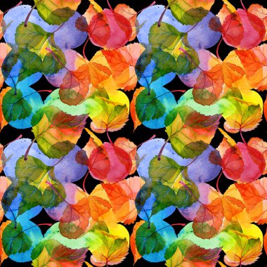 Kavak desen çizilmiş bir suluboya tarzında sonbahar yaprak.