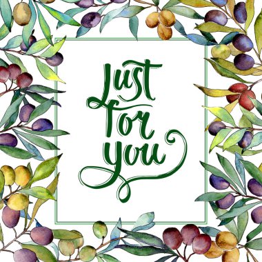 Zeytin ağacı çerçeve suluboya tarzında.